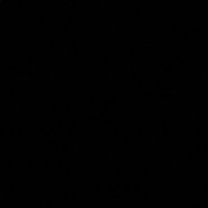 Meet your Posher, Arielle